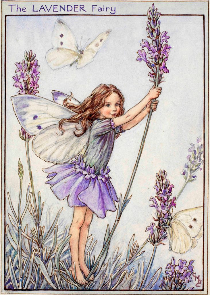 Lavender flower fairies